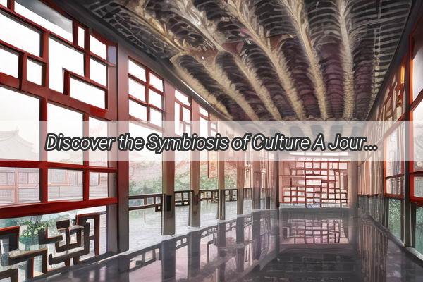 Discover the Symbiosis of Culture A Journey Through China and South Koreas Hidden Gems